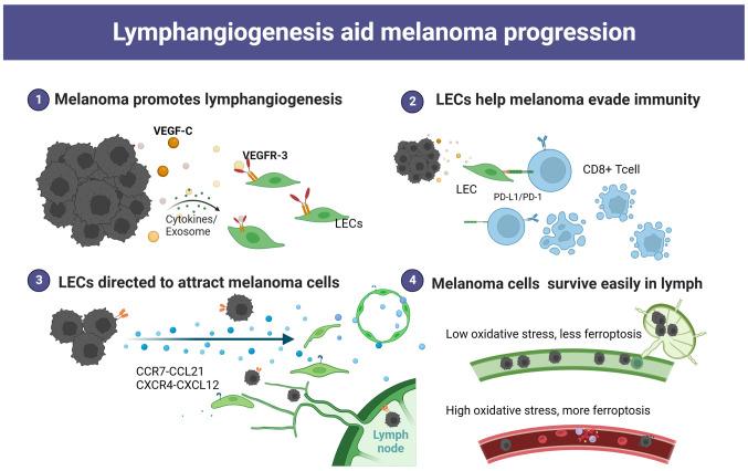 https://cdn.ncbi.nlm.nih.gov/pmc/blobs/5b8d/10797314/51361f9ca7ae/ol-27-02-14215-g00.jpg
