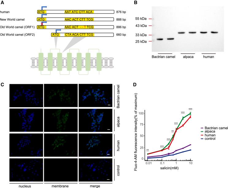 https://cdn.ncbi.nlm.nih.gov/pmc/blobs/5b8d/12127551/79a4d983b051/gr5.jpg