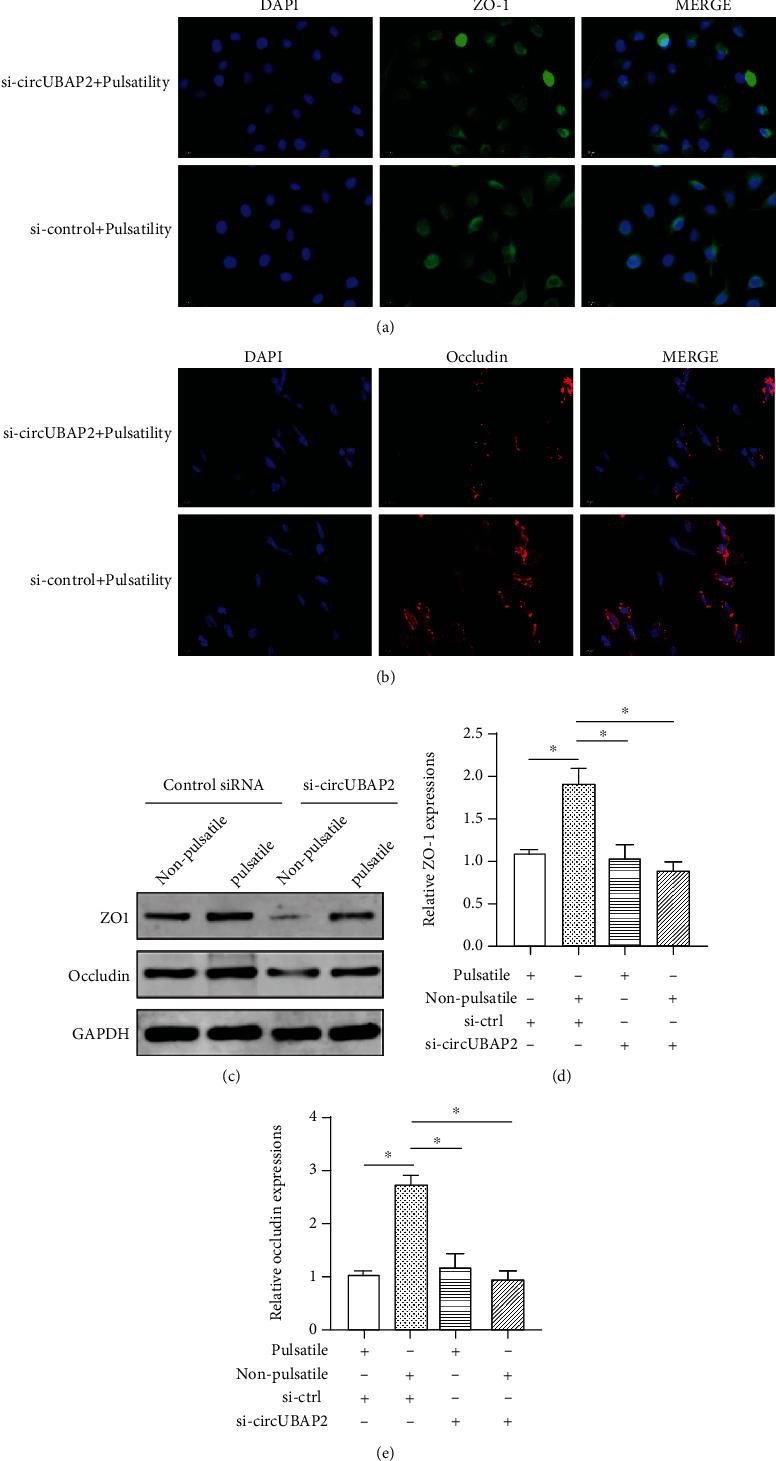 https://cdn.ncbi.nlm.nih.gov/pmc/blobs/5b8d/8881135/7248c73458e5/OMCL2022-1630918.005.jpg