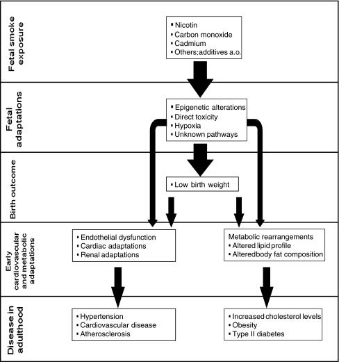 https://cdn.ncbi.nlm.nih.gov/pmc/blobs/5b8e/3218270/93c6219934b7/10654_2011_9621_Fig1_HTML.jpg