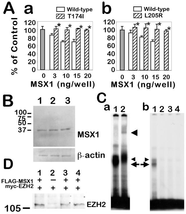 https://cdn.ncbi.nlm.nih.gov/pmc/blobs/5b8e/4125152/1ac74bccf55e/pone.0102944.g003.jpg
