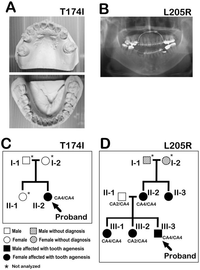 https://cdn.ncbi.nlm.nih.gov/pmc/blobs/5b8e/4125152/52c9439cb0fd/pone.0102944.g001.jpg