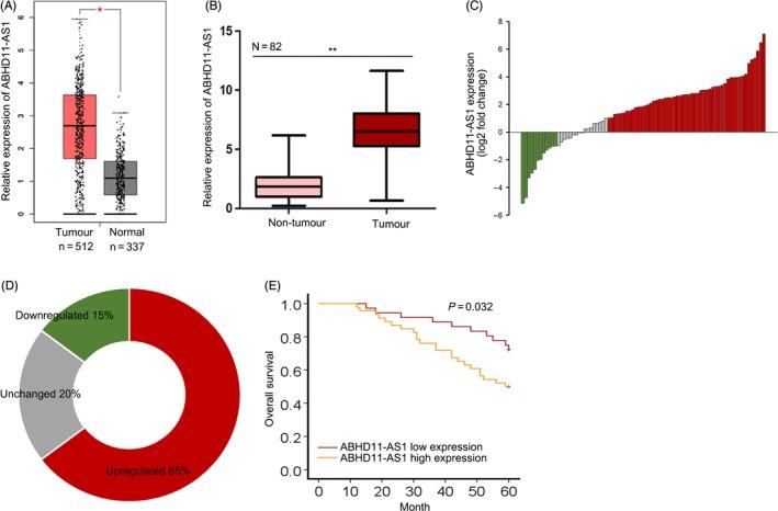 https://cdn.ncbi.nlm.nih.gov/pmc/blobs/5b94/6495520/7daa883c001b/CPR-52-e12569-g001.jpg