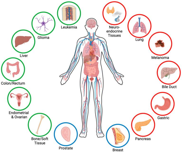 https://cdn.ncbi.nlm.nih.gov/pmc/blobs/5b96/11431421/669159535f3c/genes-15-01231-g001.jpg