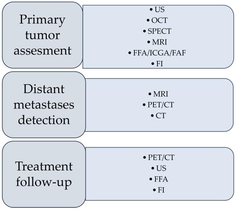 https://cdn.ncbi.nlm.nih.gov/pmc/blobs/5b96/9265106/d73f66daae0d/cancers-14-03147-g001.jpg