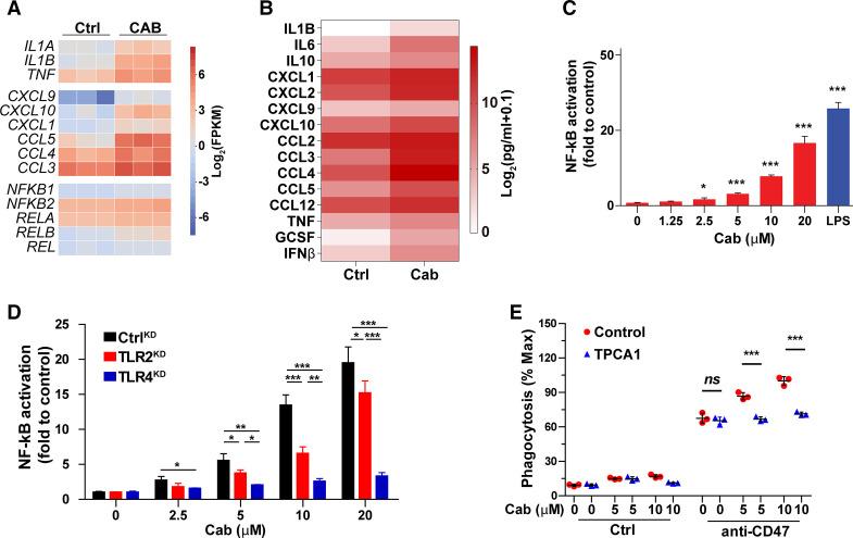 https://cdn.ncbi.nlm.nih.gov/pmc/blobs/5b97/7986678/1356fd67e689/jitc-2020-002022f06.jpg