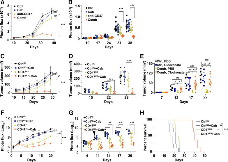https://cdn.ncbi.nlm.nih.gov/pmc/blobs/5b97/7986678/8a191a5fc750/jitc-2020-002022f04.jpg