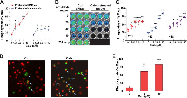 https://cdn.ncbi.nlm.nih.gov/pmc/blobs/5b97/7986678/9cd3a68d3214/jitc-2020-002022f03.jpg