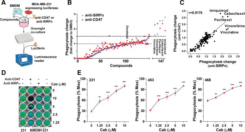 https://cdn.ncbi.nlm.nih.gov/pmc/blobs/5b97/7986678/ea86856f6ac4/jitc-2020-002022f02.jpg