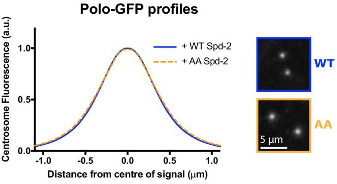 https://cdn.ncbi.nlm.nih.gov/pmc/blobs/5b9a/6733597/2ce45a08c539/elife-50130-fig9-figsupp2.jpg