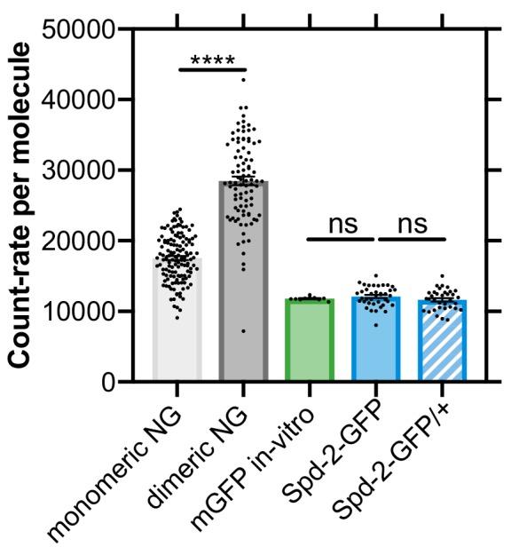 https://cdn.ncbi.nlm.nih.gov/pmc/blobs/5b9a/6733597/d7baad8152df/elife-50130-fig5-figsupp1.jpg