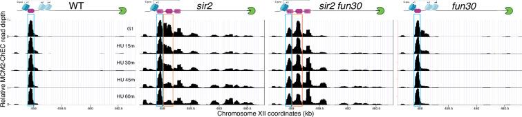 https://cdn.ncbi.nlm.nih.gov/pmc/blobs/5b9b/11745493/53ea74094f21/elife-97438-fig5-figsupp4.jpg