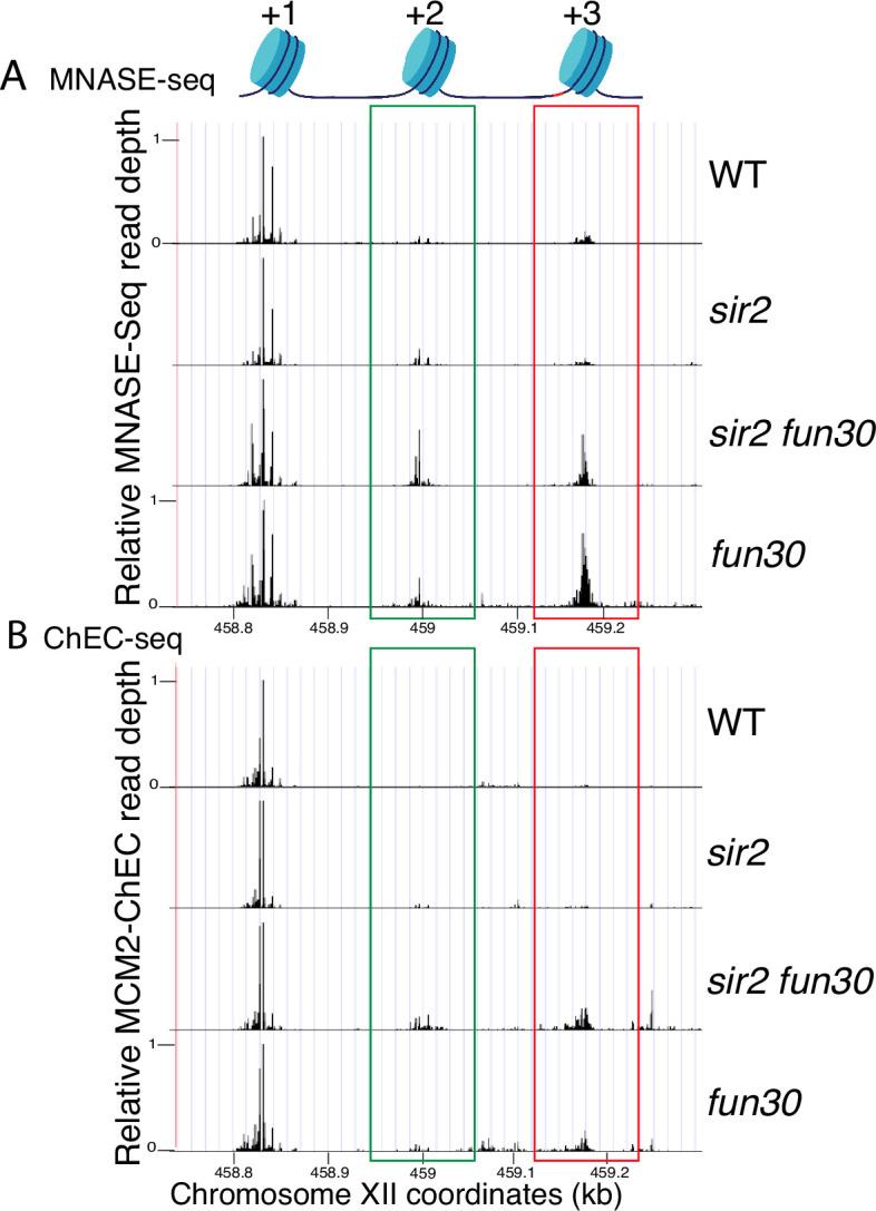 https://cdn.ncbi.nlm.nih.gov/pmc/blobs/5b9b/11745493/9d7e1d3cd779/elife-97438-fig6.jpg
