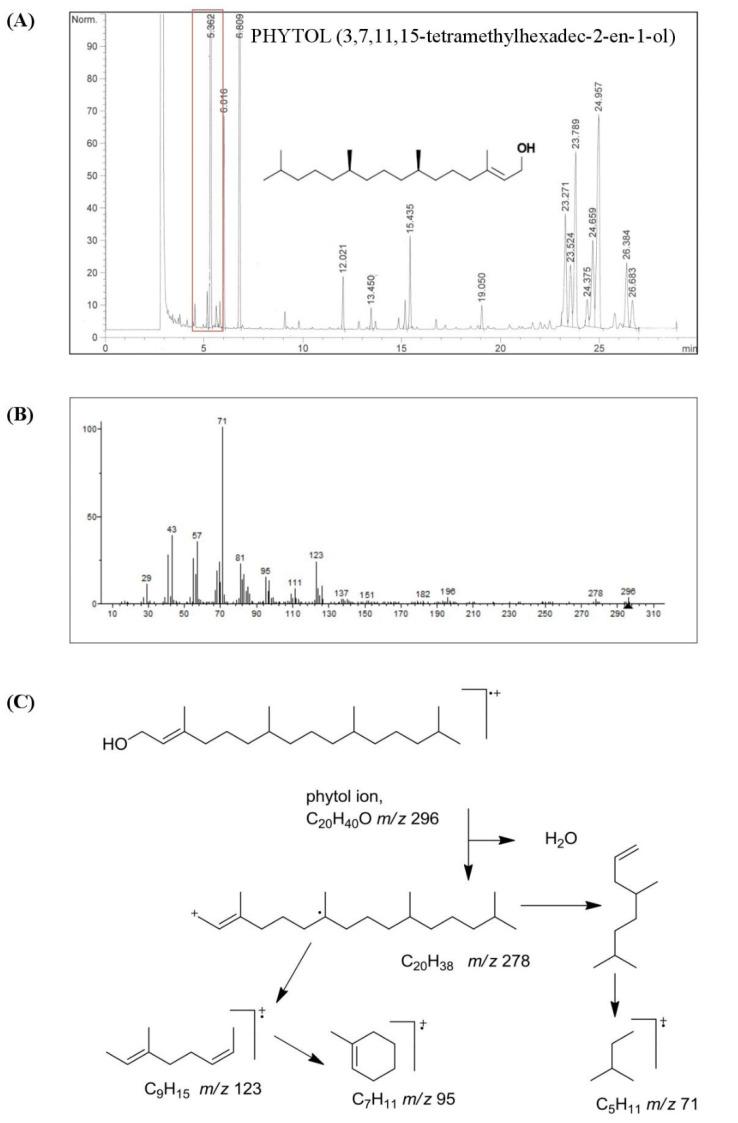 https://cdn.ncbi.nlm.nih.gov/pmc/blobs/5b9d/9367727/44ebc9773a0f/foods-11-02366-g001.jpg