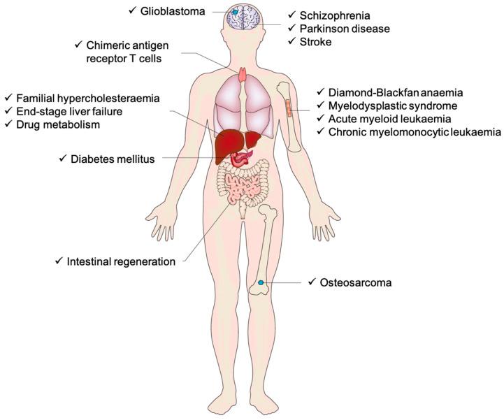 https://cdn.ncbi.nlm.nih.gov/pmc/blobs/5ba0/12030587/d0d1c40c4748/pharmaceutics-17-00456-g003.jpg