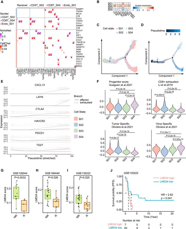 https://cdn.ncbi.nlm.nih.gov/pmc/blobs/5ba2/11031428/67747e474917/gr7.jpg