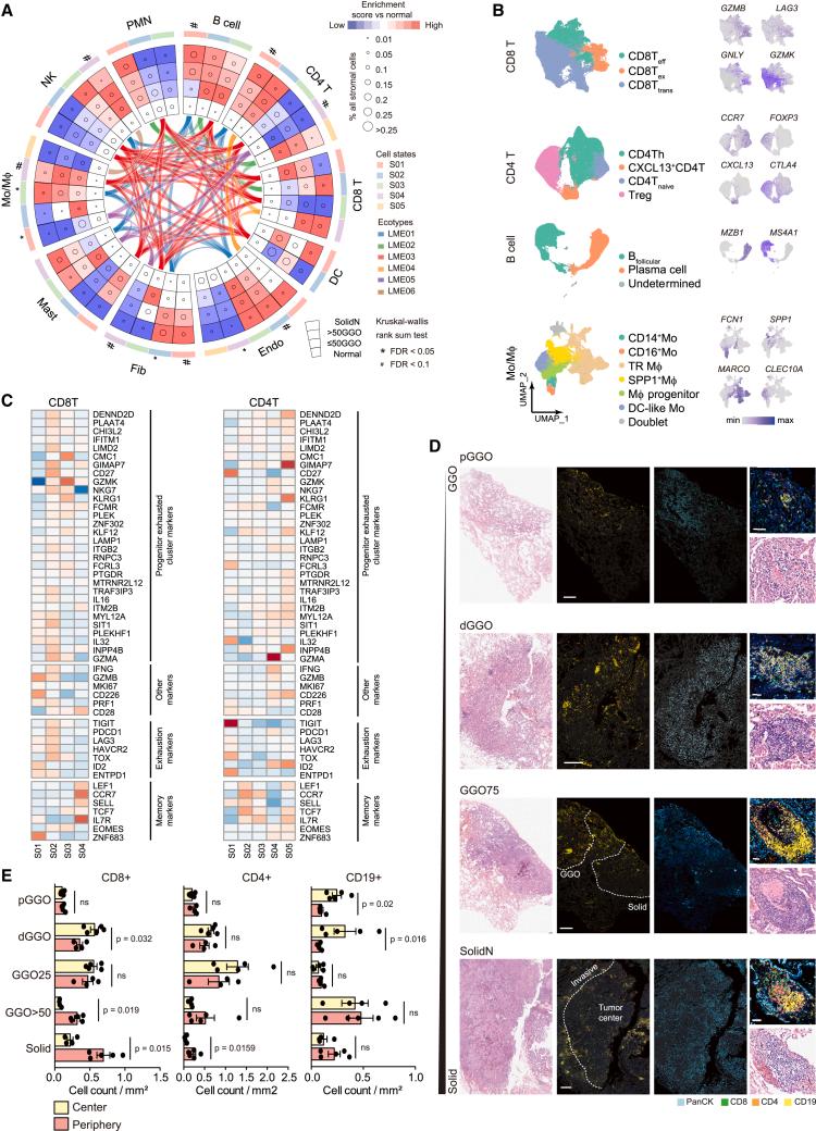 https://cdn.ncbi.nlm.nih.gov/pmc/blobs/5ba2/11031428/6b8f6db0cb5b/gr3.jpg