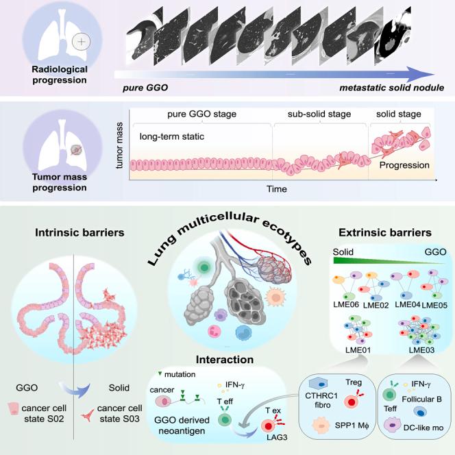 https://cdn.ncbi.nlm.nih.gov/pmc/blobs/5ba2/11031428/b02688391262/fx1.jpg