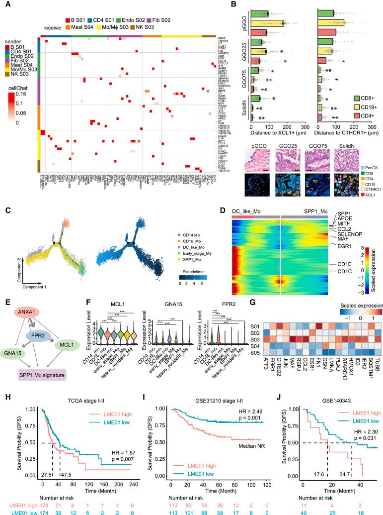 https://cdn.ncbi.nlm.nih.gov/pmc/blobs/5ba2/11031428/eddfa9b4c7d9/gr4.jpg