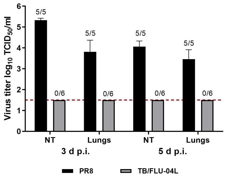 https://cdn.ncbi.nlm.nih.gov/pmc/blobs/5ba3/10138401/28b7c42fd8ee/ijms-24-07439-g002.jpg