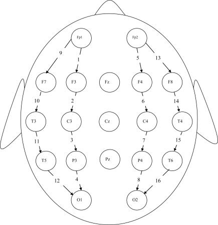 https://cdn.ncbi.nlm.nih.gov/pmc/blobs/5ba3/2577940/f2662557d139/TONIJ-2-52_F1.jpg