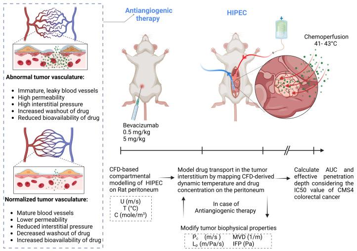 https://cdn.ncbi.nlm.nih.gov/pmc/blobs/5ba5/11859678/c09435ad82db/pharmaceutics-17-00155-g001.jpg