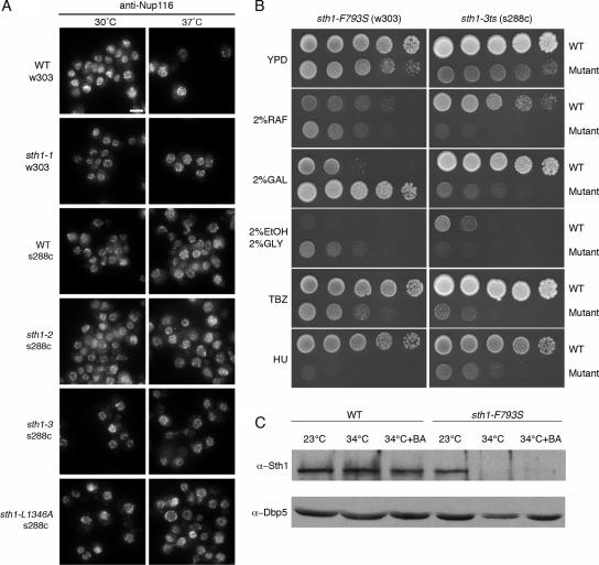 https://cdn.ncbi.nlm.nih.gov/pmc/blobs/5ba6/2836959/0845e4f4f1fa/zmk0061093940003.jpg