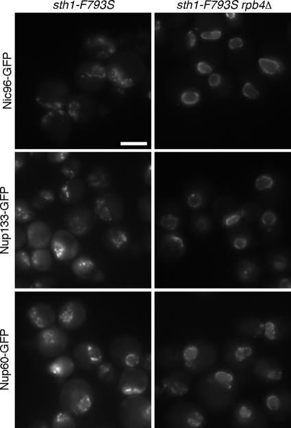 https://cdn.ncbi.nlm.nih.gov/pmc/blobs/5ba6/2836959/587912e2861a/zmk0061093940006.jpg