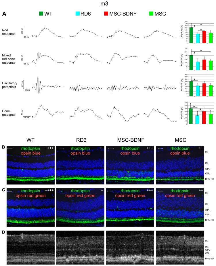 https://cdn.ncbi.nlm.nih.gov/pmc/blobs/5ba9/6387230/2c107a5a1361/ijms-20-00777-g006.jpg