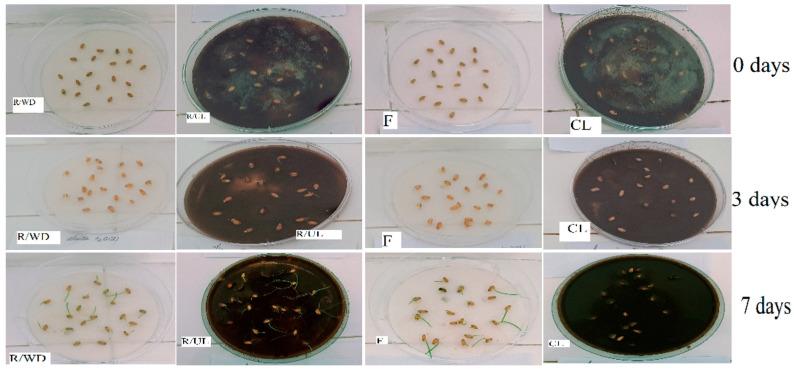 https://cdn.ncbi.nlm.nih.gov/pmc/blobs/5baa/12390239/94eedbe300b5/polymers-17-02263-g005.jpg