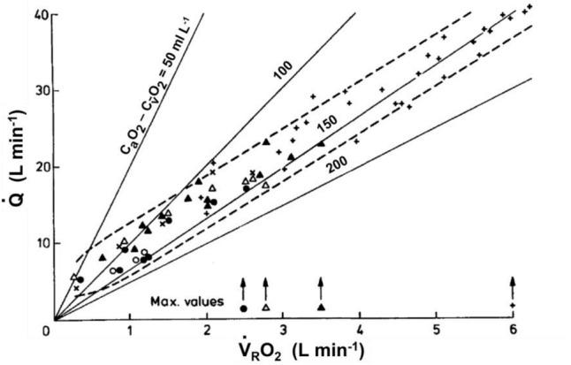 https://cdn.ncbi.nlm.nih.gov/pmc/blobs/5bac/9132876/d530025ab54a/421_2022_4901_Fig9_HTML.jpg