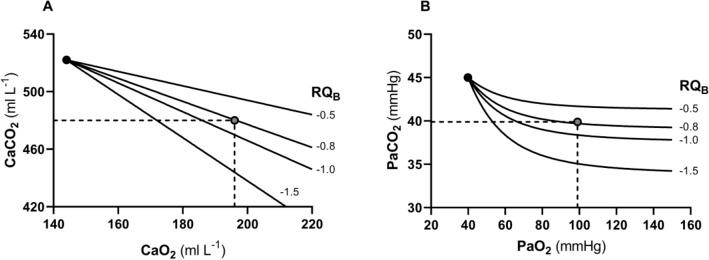 https://cdn.ncbi.nlm.nih.gov/pmc/blobs/5bac/9132876/dabcc27548ec/421_2022_4901_Fig5_HTML.jpg