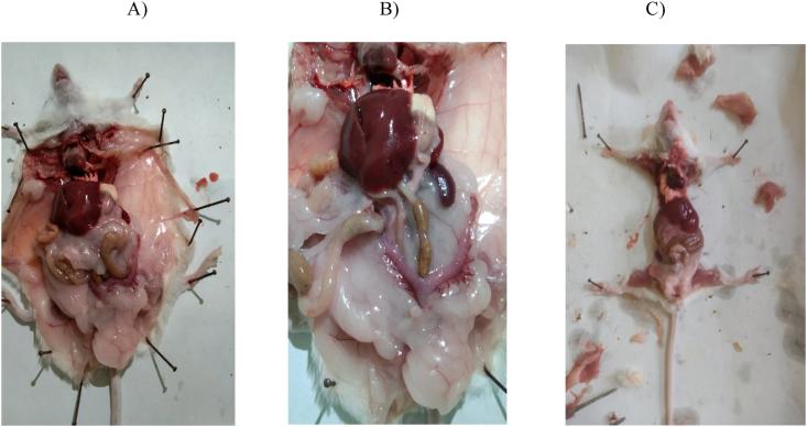 https://cdn.ncbi.nlm.nih.gov/pmc/blobs/5bad/8717583/82f31dd96ffe/gr5.jpg