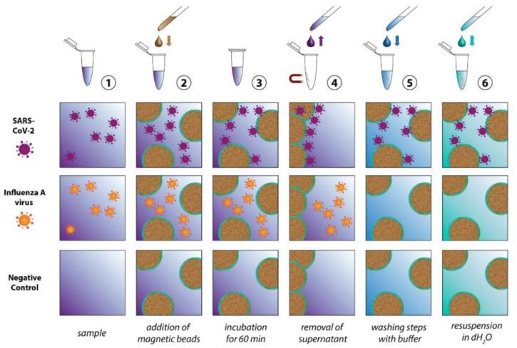 https://cdn.ncbi.nlm.nih.gov/pmc/blobs/5bae/10296004/f868abbb549e/biosensors-13-00594-g002.jpg