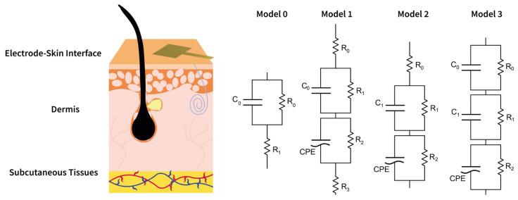 https://cdn.ncbi.nlm.nih.gov/pmc/blobs/5baf/12349162/39a7c83a81c6/sensors-25-04568-g003.jpg