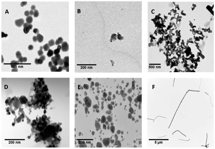 https://cdn.ncbi.nlm.nih.gov/pmc/blobs/5bb7/6956333/67299ce3501d/nanomaterials-09-01677-g001.jpg