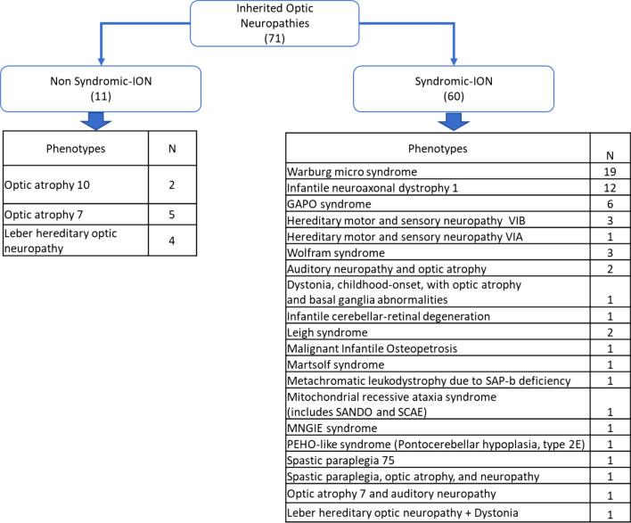 https://cdn.ncbi.nlm.nih.gov/pmc/blobs/5bb8/9097391/9d7425ca1925/13023_2022_2340_Fig5_HTML.jpg