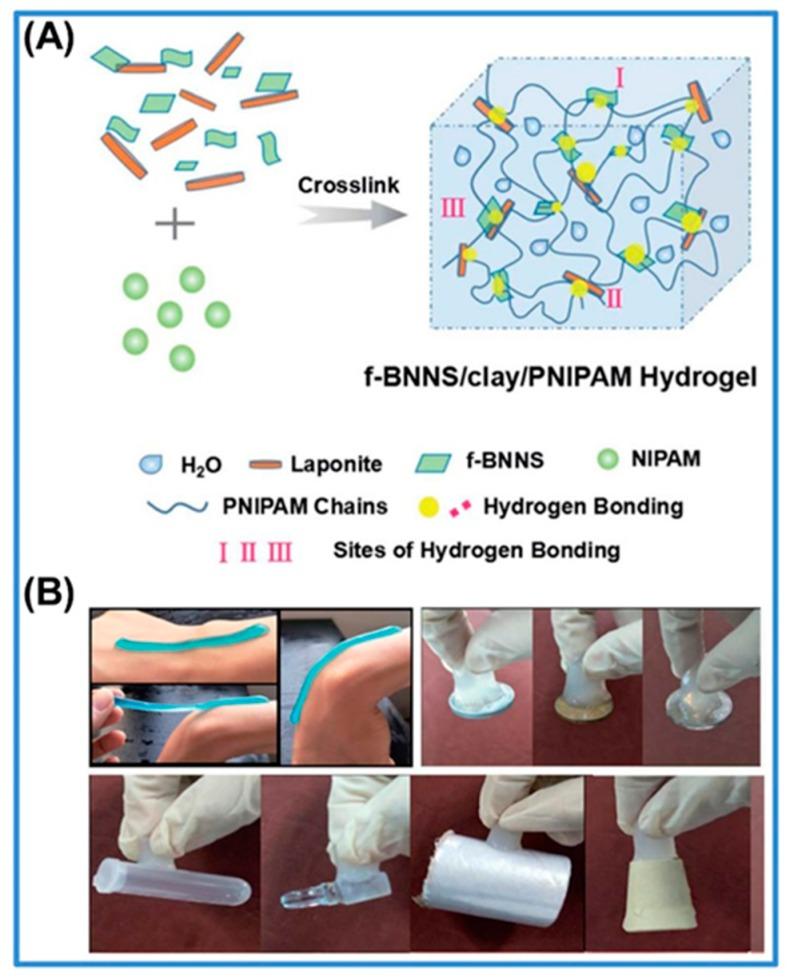 https://cdn.ncbi.nlm.nih.gov/pmc/blobs/5bb9/7182829/718221b87040/polymers-12-00580-g005.jpg