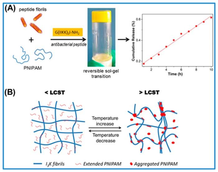 https://cdn.ncbi.nlm.nih.gov/pmc/blobs/5bb9/7182829/fde3a6a17d29/polymers-12-00580-g002.jpg