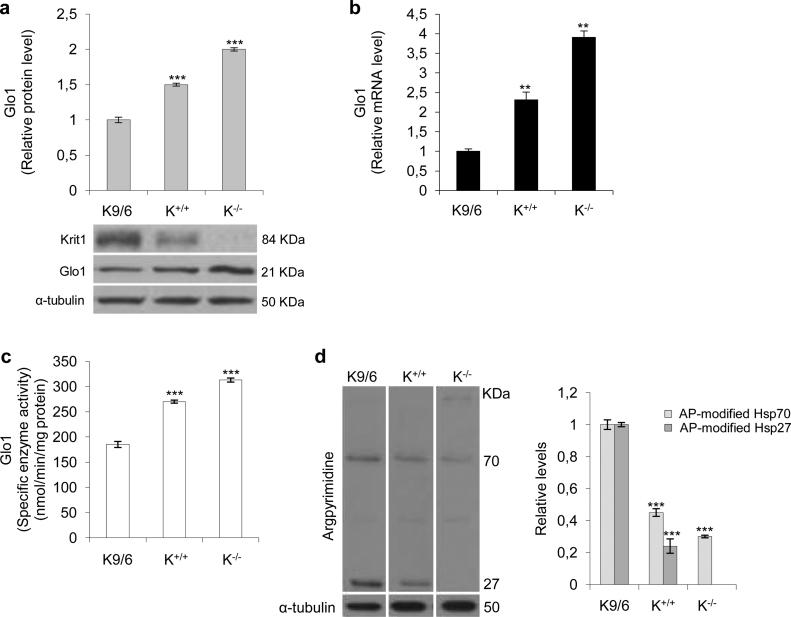 https://cdn.ncbi.nlm.nih.gov/pmc/blobs/5bbc/5806631/36a65d20b02e/gr1.jpg
