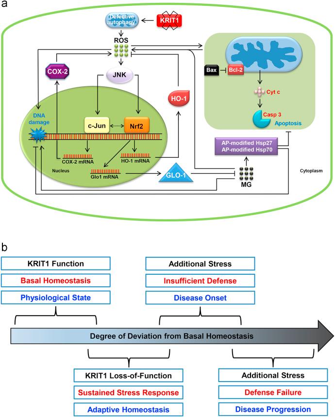 https://cdn.ncbi.nlm.nih.gov/pmc/blobs/5bbc/5806631/615afe357d72/gr9.jpg