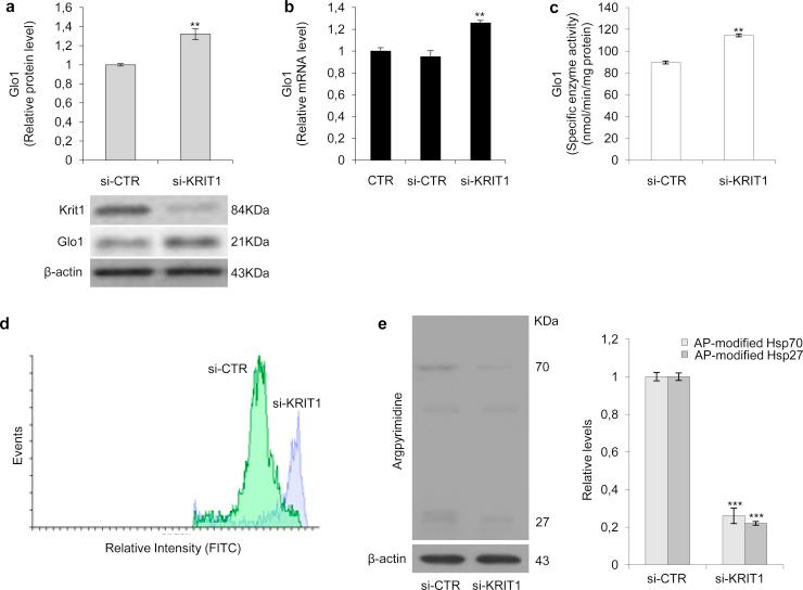 https://cdn.ncbi.nlm.nih.gov/pmc/blobs/5bbc/5806631/ba32c5f30e72/gr2.jpg