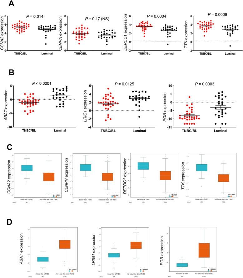 https://cdn.ncbi.nlm.nih.gov/pmc/blobs/5bbc/8235641/405b3725bd4b/12957_2021_2301_Fig5_HTML.jpg