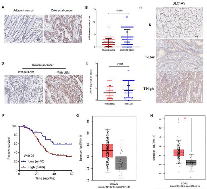 https://cdn.ncbi.nlm.nih.gov/pmc/blobs/5bbd/12383793/2fda87392781/ABBS-2024-401-t1.jpg