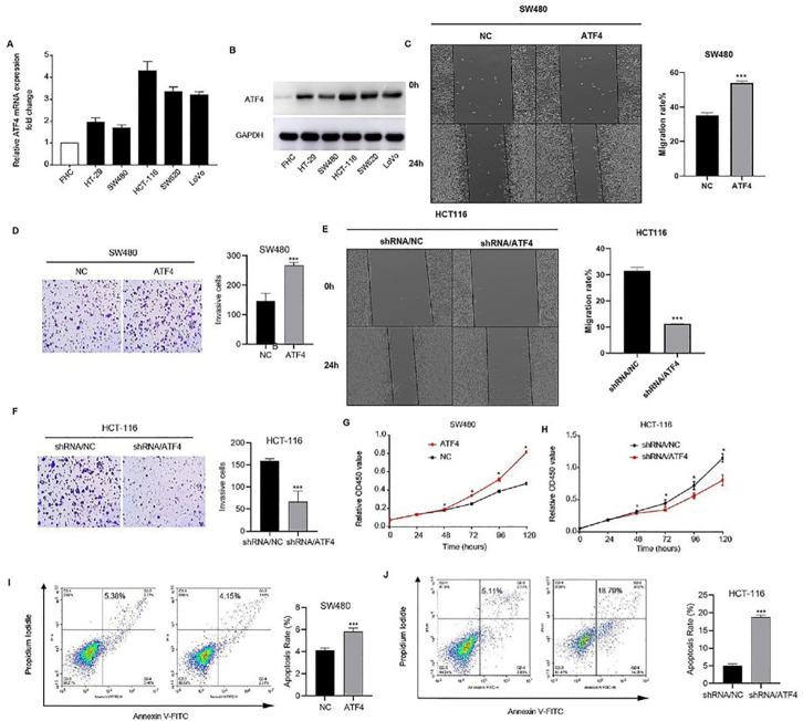 https://cdn.ncbi.nlm.nih.gov/pmc/blobs/5bbd/12383793/4bd86f008b3d/ABBS-2024-401-t2.jpg