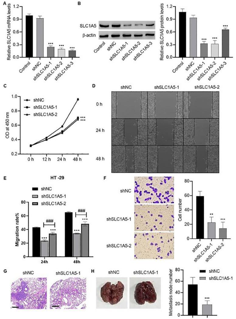 https://cdn.ncbi.nlm.nih.gov/pmc/blobs/5bbd/12383793/712addc90794/ABBS-2024-401-t3.jpg