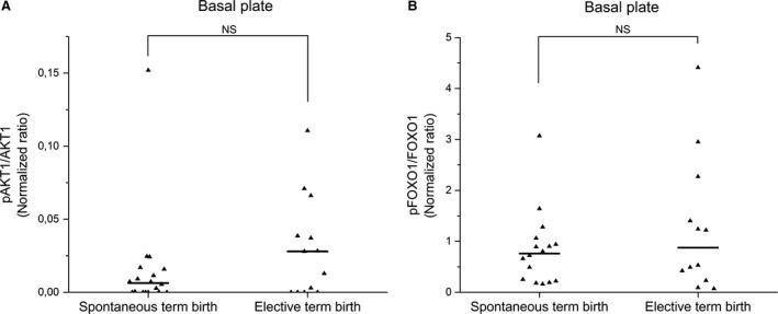 https://cdn.ncbi.nlm.nih.gov/pmc/blobs/5bbd/5783879/5ffcad2364b2/JCMM-22-968-g005.jpg