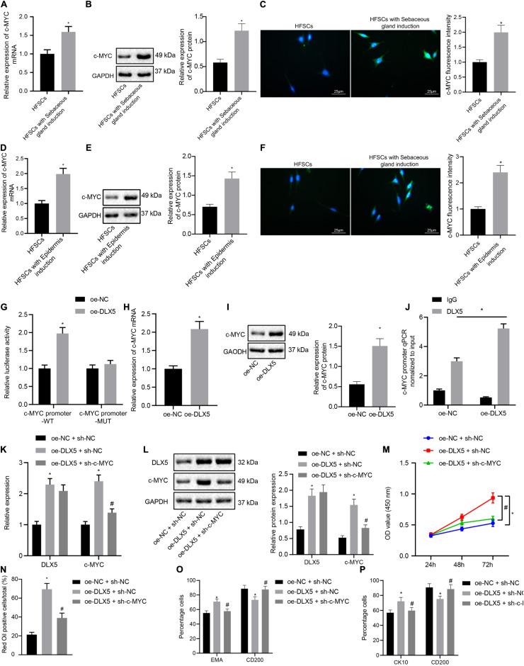 https://cdn.ncbi.nlm.nih.gov/pmc/blobs/5bc1/8319474/4558a849f207/fcell-09-554831-g002.jpg