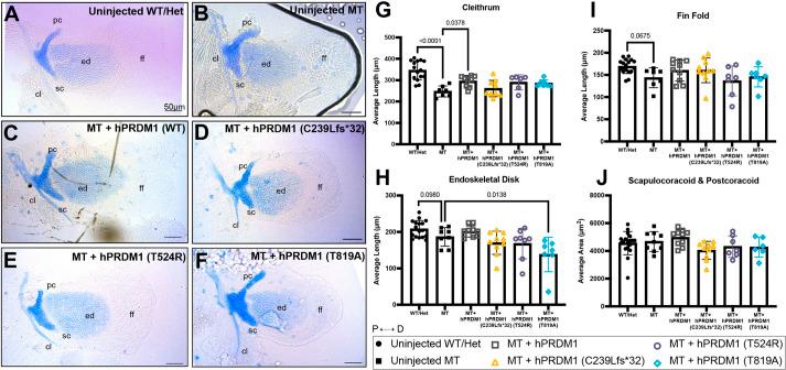 https://cdn.ncbi.nlm.nih.gov/pmc/blobs/5bc2/10151829/3e70867d673a/dmm-16-049977-g3.jpg