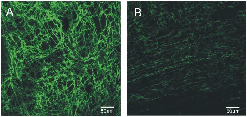 https://cdn.ncbi.nlm.nih.gov/pmc/blobs/5bc5/3486862/942735794f89/pone.0048249.g001.jpg